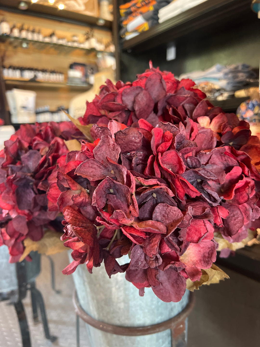 18” Burgundy Hydrangea Spray