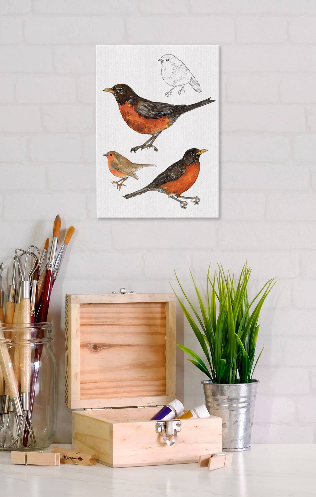 American Robin 5x7 Canvas