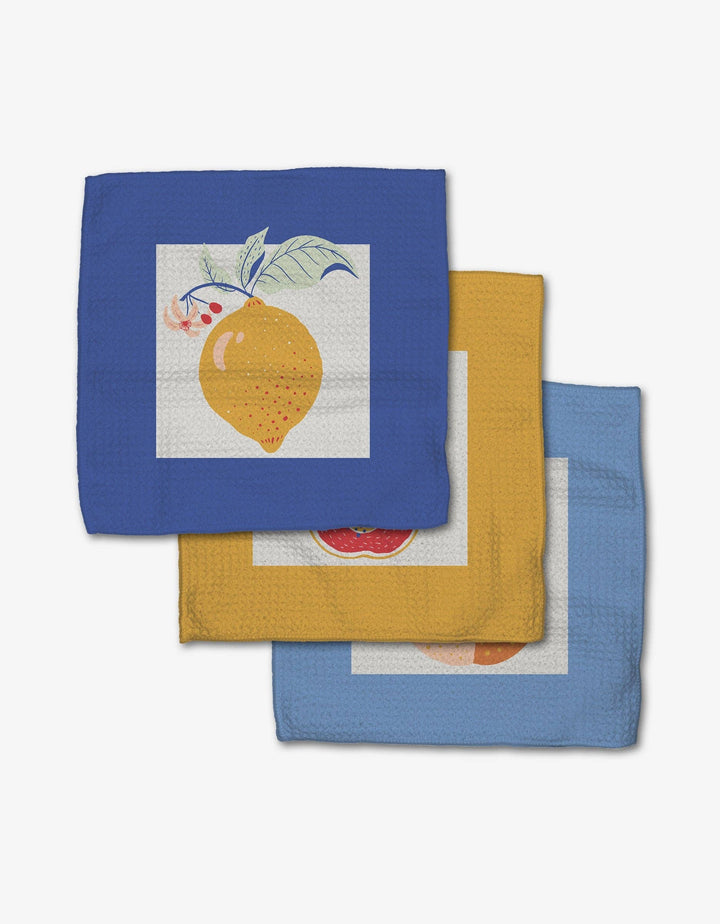 Geometry Summer Fruity Dishcloth Set