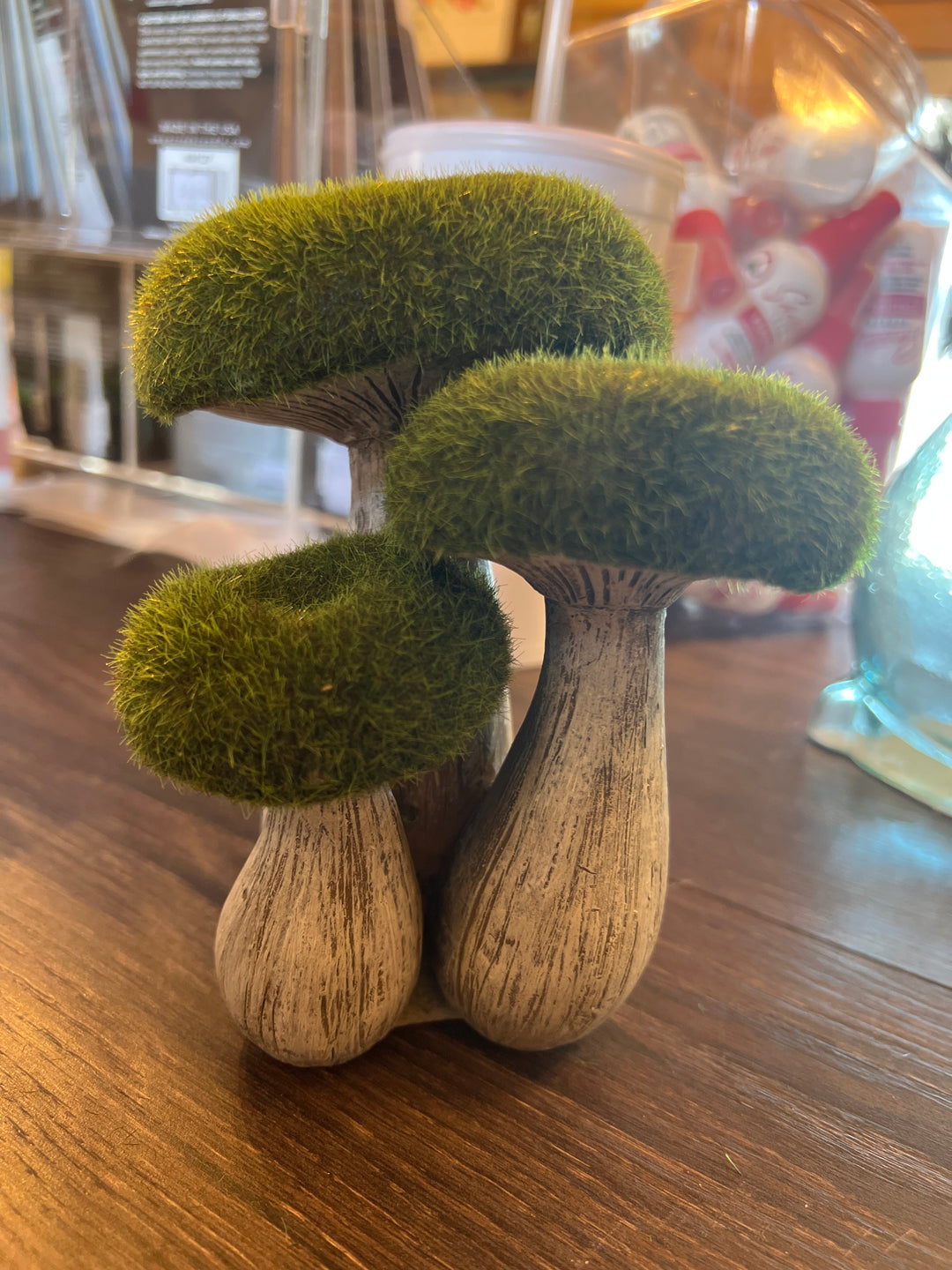 Small mushroom