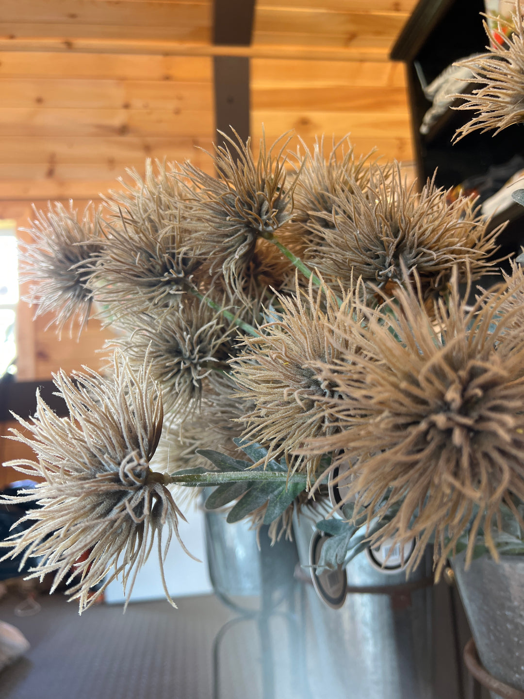 27” Dusty Brown Spider Mum Spray