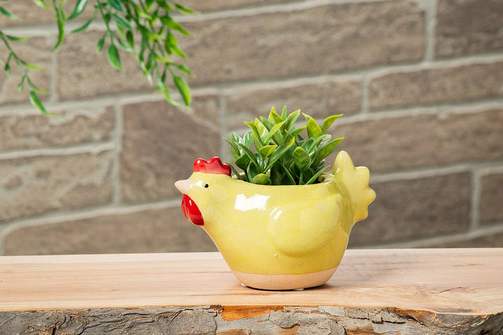 Sm Ylw Chicken Planter-5"L
