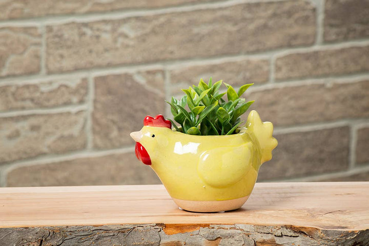Sm Ylw Chicken Planter-5"L