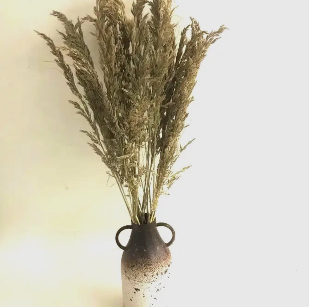 Oat Bundle