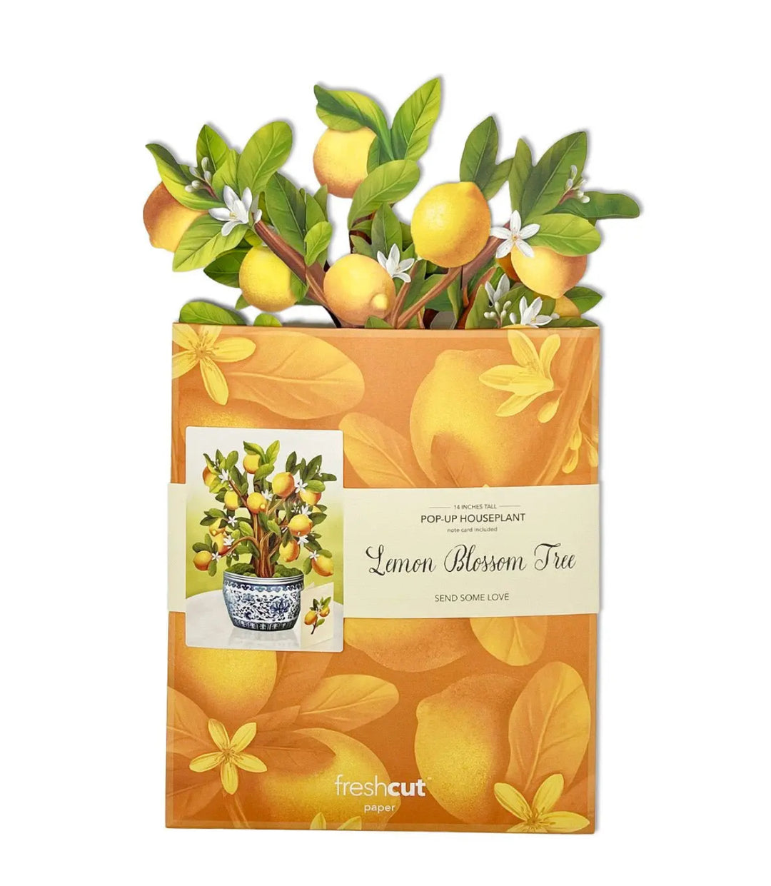 Pop-Up Card Lemon Blossom Tree