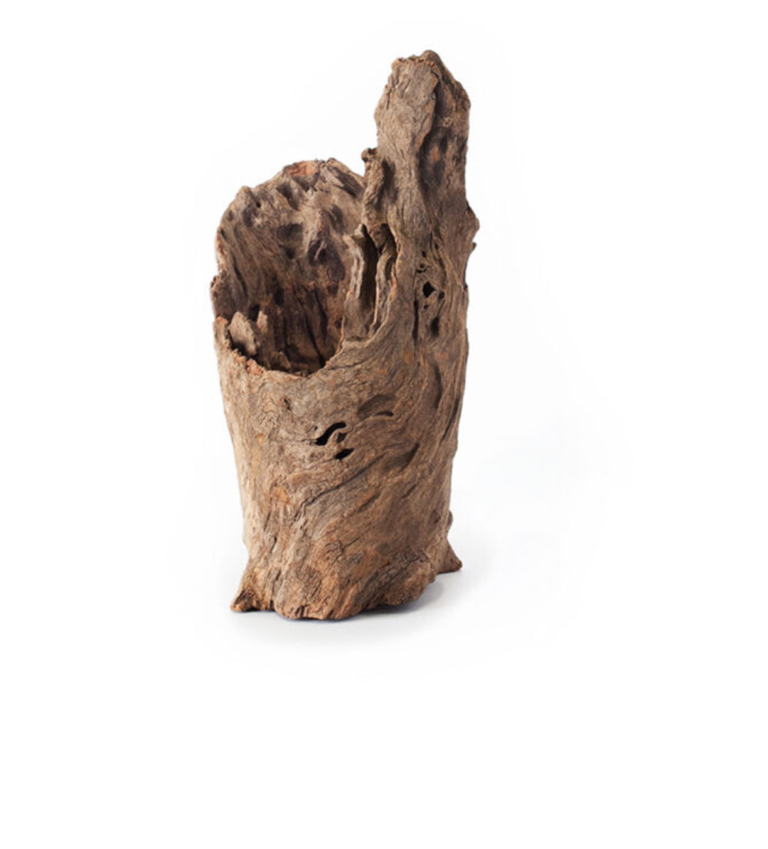 Hollow Log