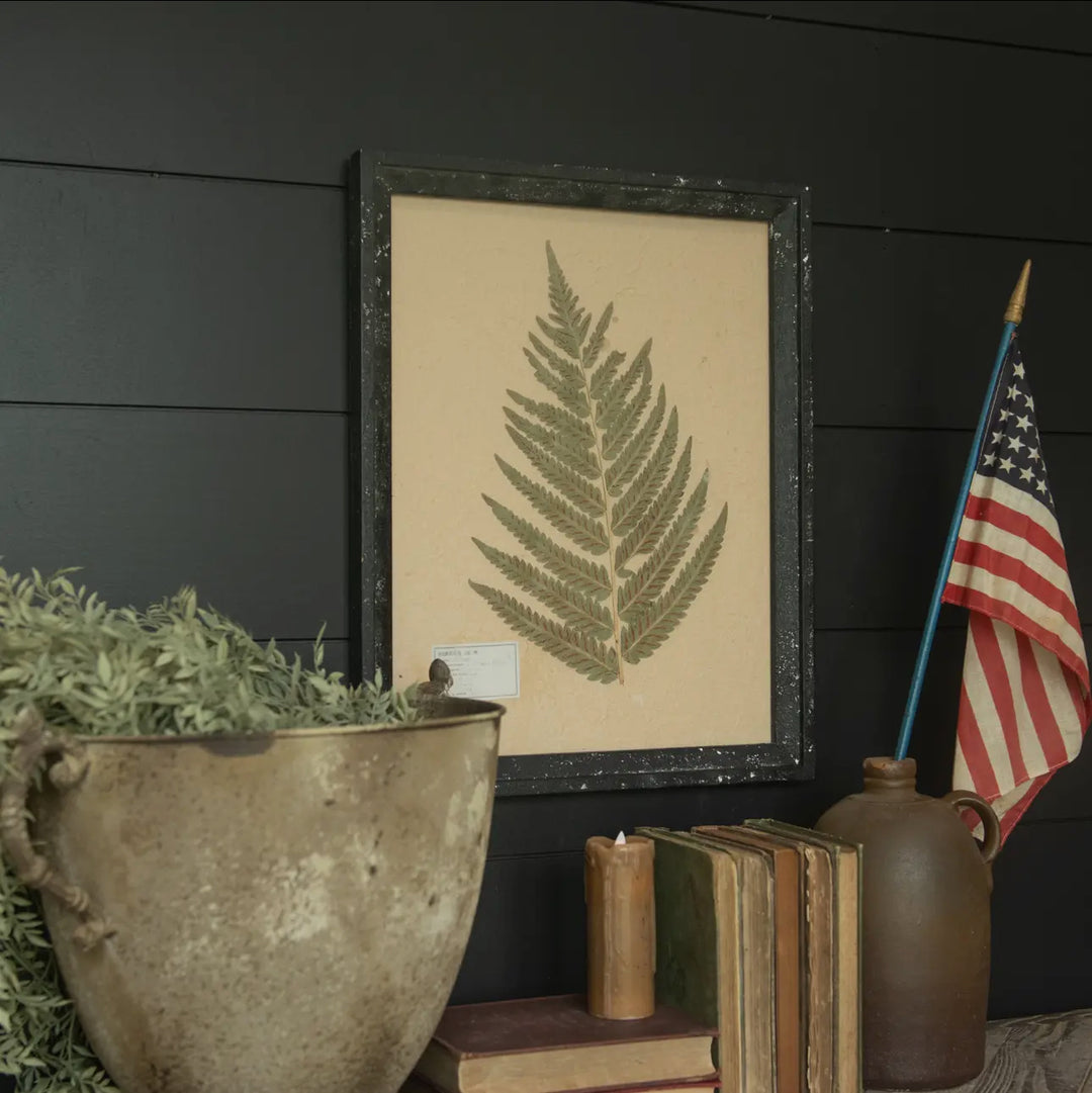 Pressed Fern in Black Frame
