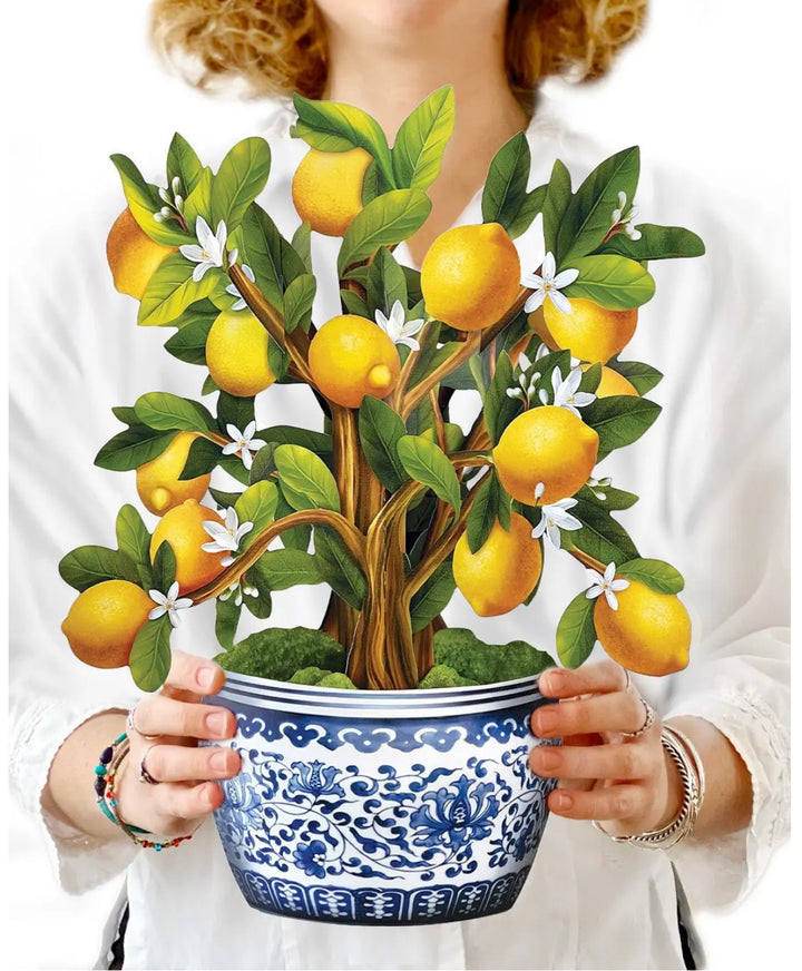 Pop-Up Card Lemon Blossom Tree