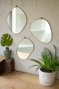 Set of 3 Brass Framed Organic Shaped Mirror