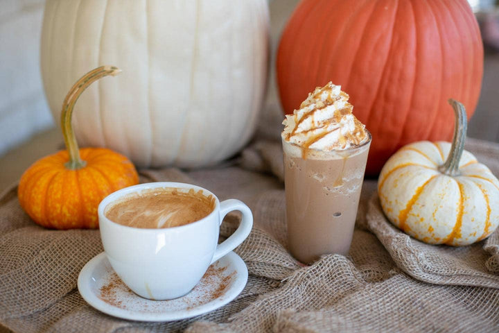 Pumpkin Spice Cafe Mocha 8oz Can