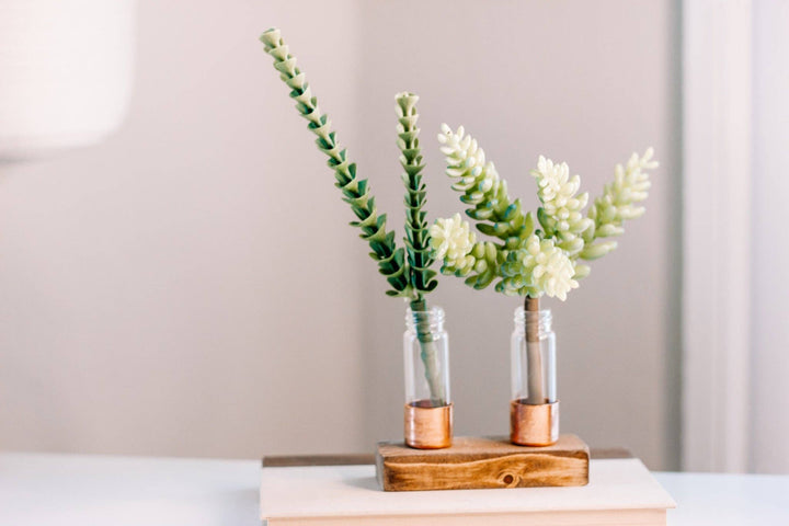 Copper Vase | Propagation Station | Pick your size