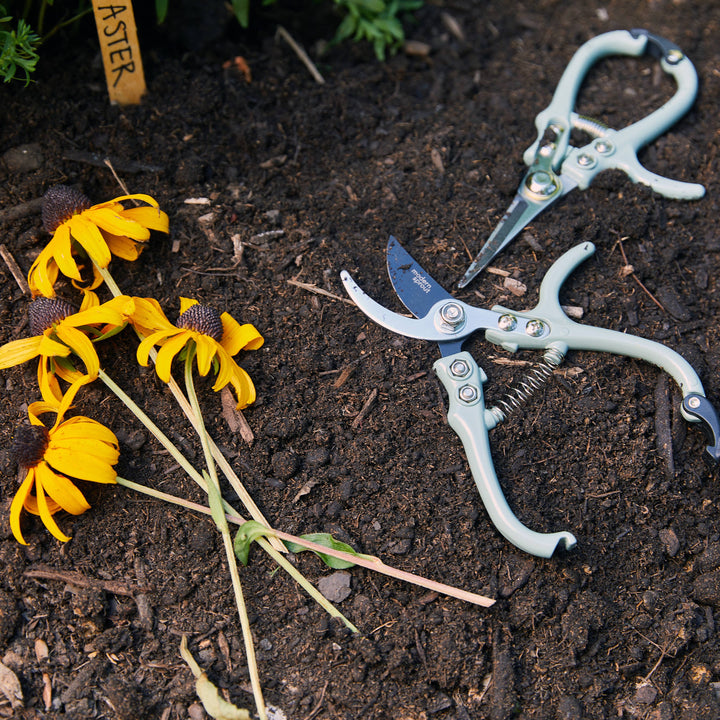 Garden Shears