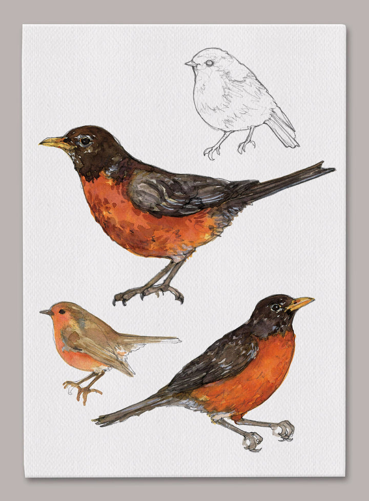 American Robin 5x7 Canvas