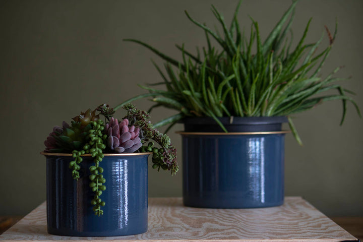 S/2 Doreen Planters