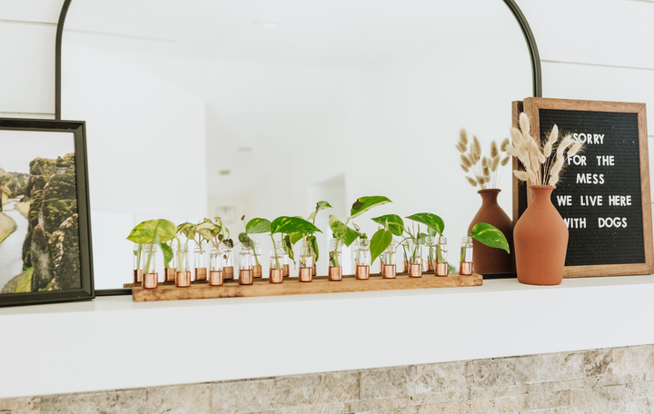 Copper Vase | Propagation Station | Pick your size