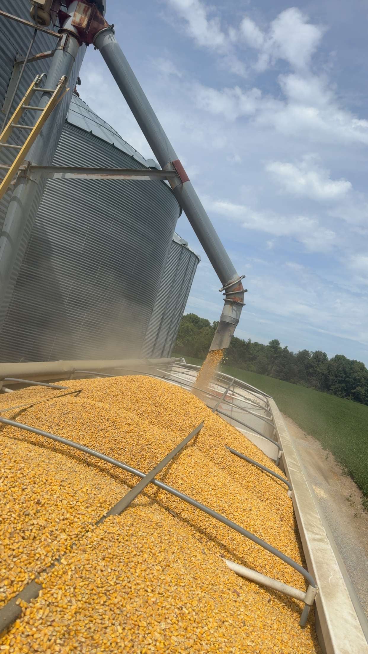 Harvest Season – Heirloom Acres