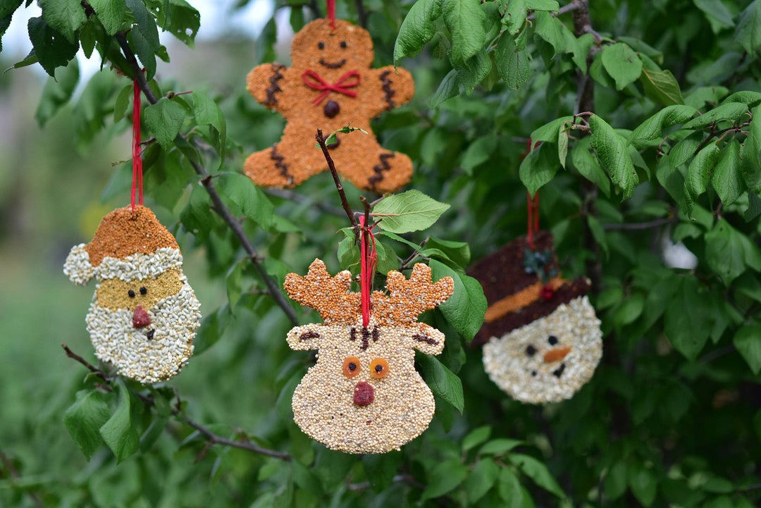 Gingerbread Man Christmas Cookie