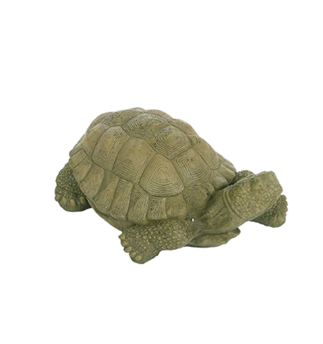 XL Snapping Turtle