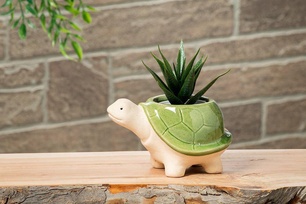 Sm Turtle Planter-Grn-3.5"H