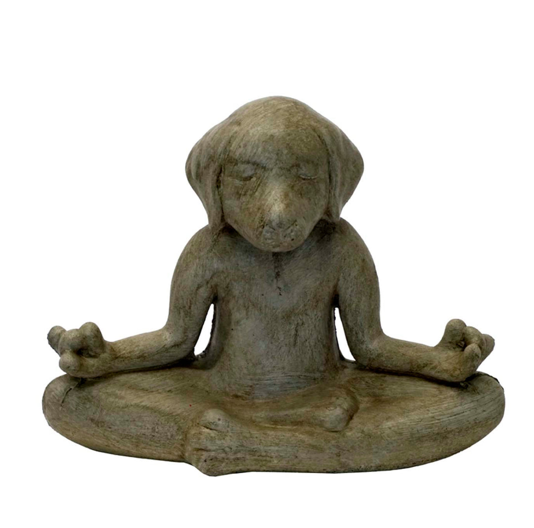 Meditating dog
