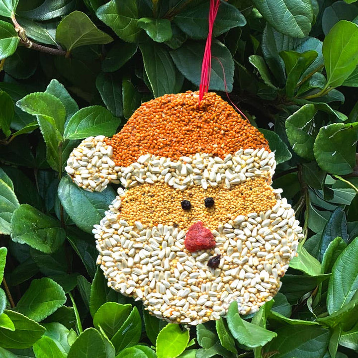 Christmas Cookie