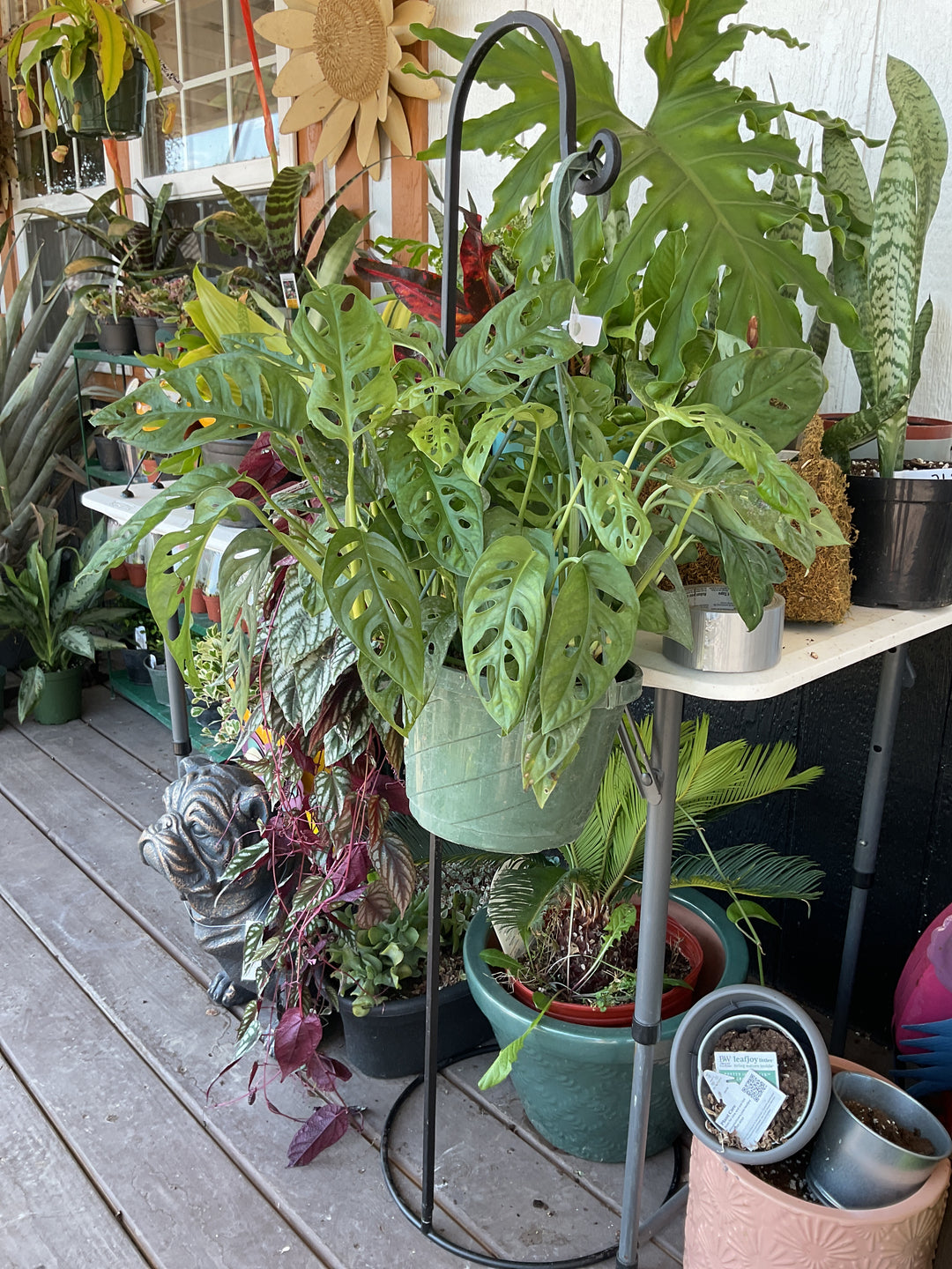 Plant Stand Hook
