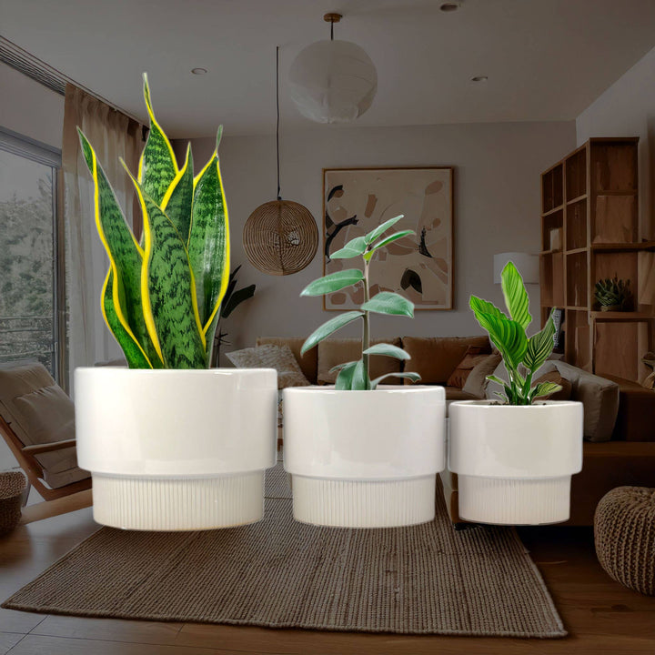 Set of 3 Modern Off White Ceramic Planter Pots