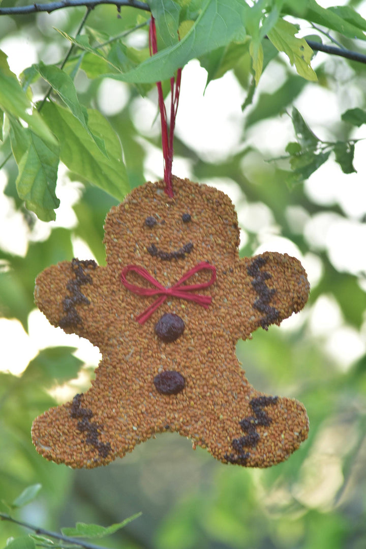 Gingerbread Man Christmas Cookie