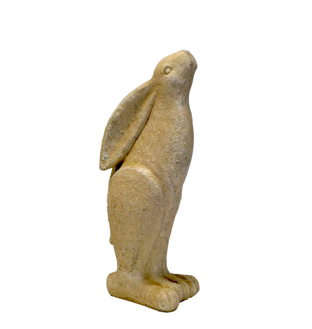 Modern rabbit