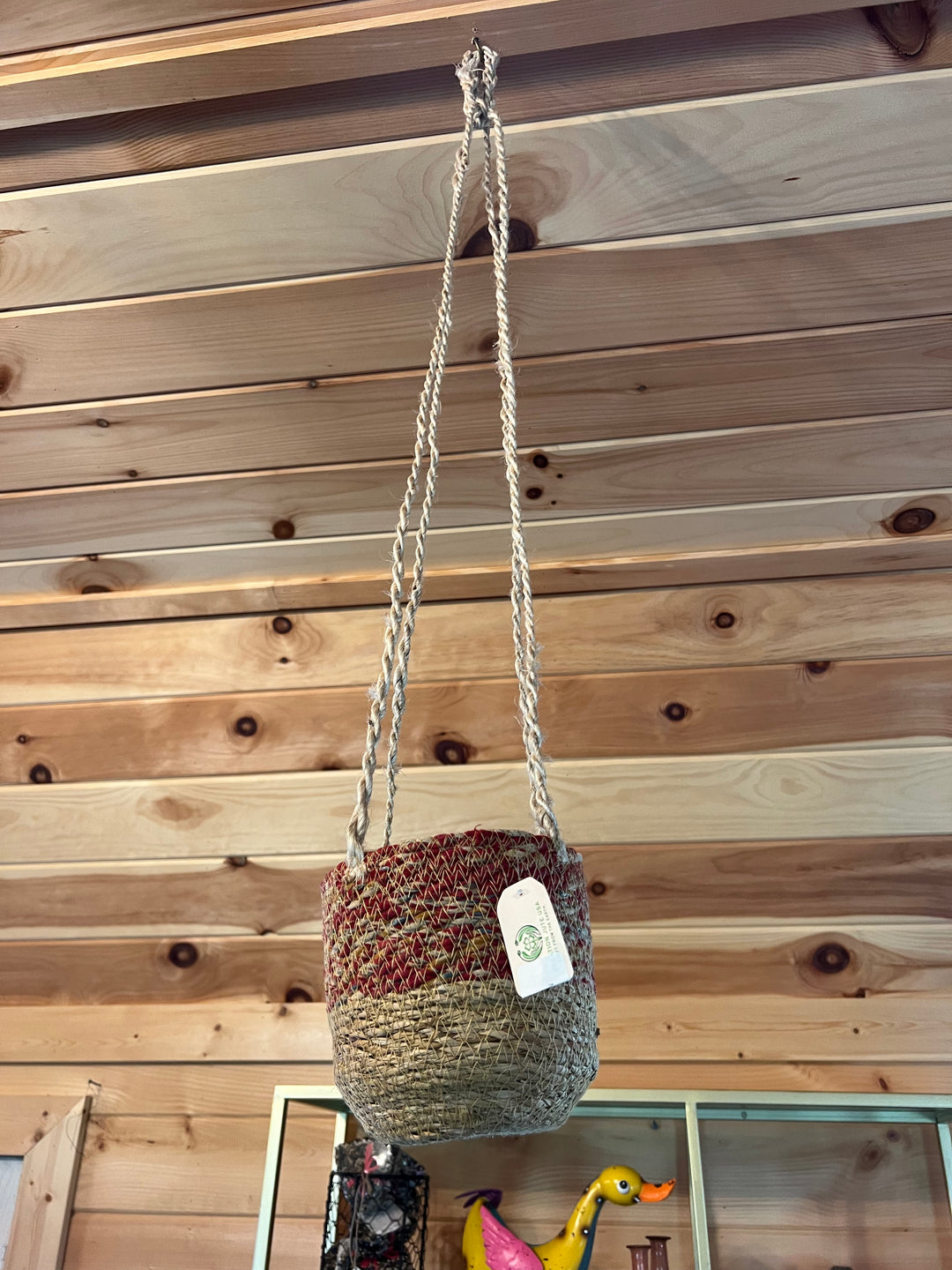 Medium Hanging Basket