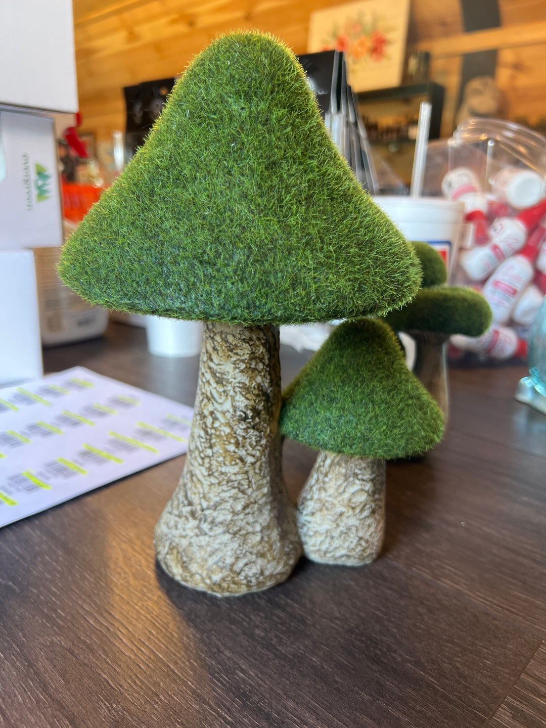 Mushroom medium