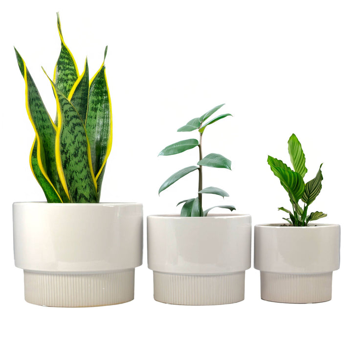 Set of 3 Modern Off White Ceramic Planter Pots