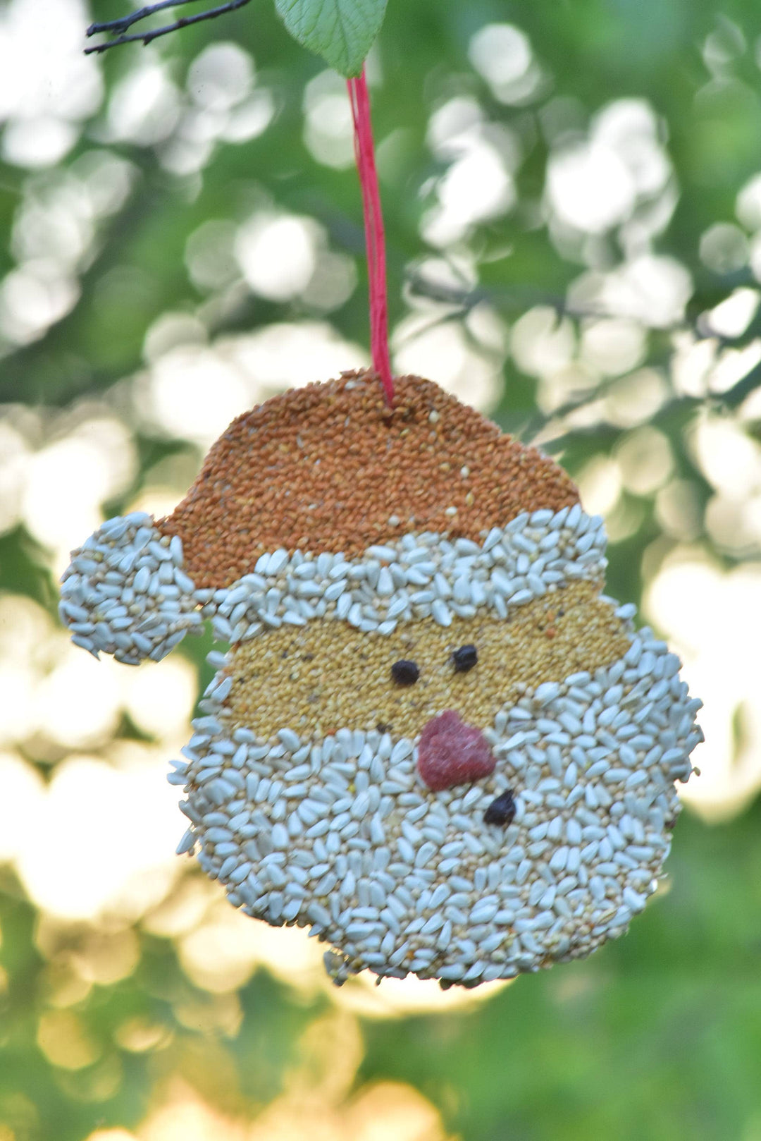 Christmas Cookie