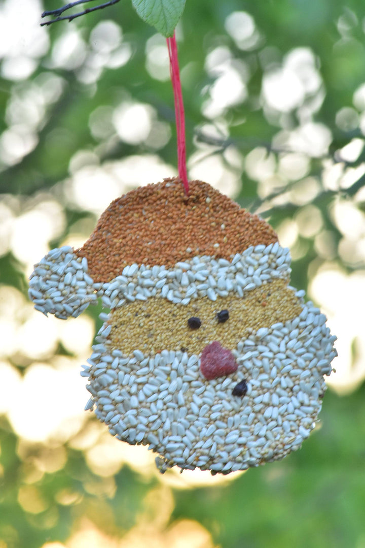 Christmas Cookie