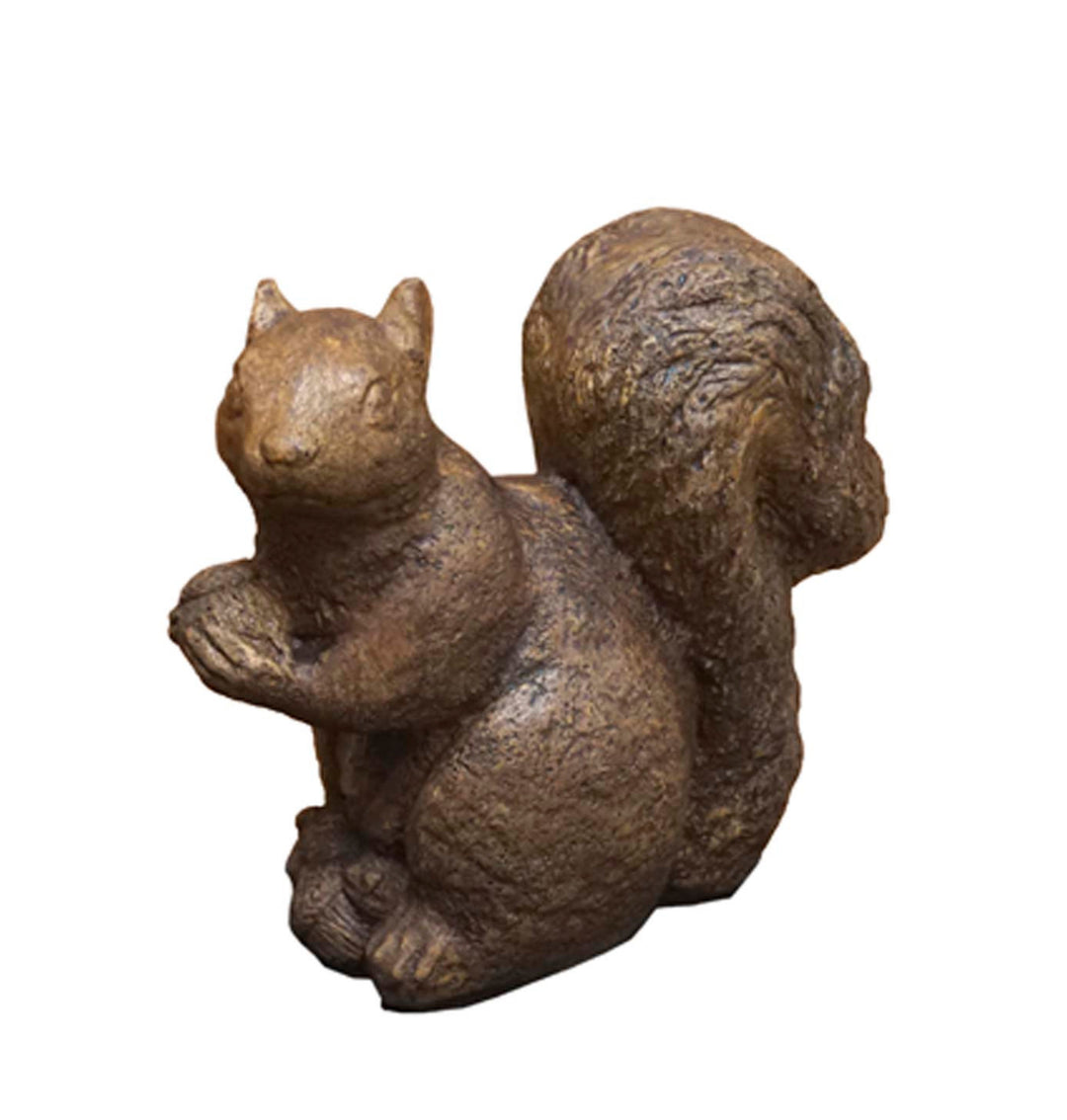 Small squirrel