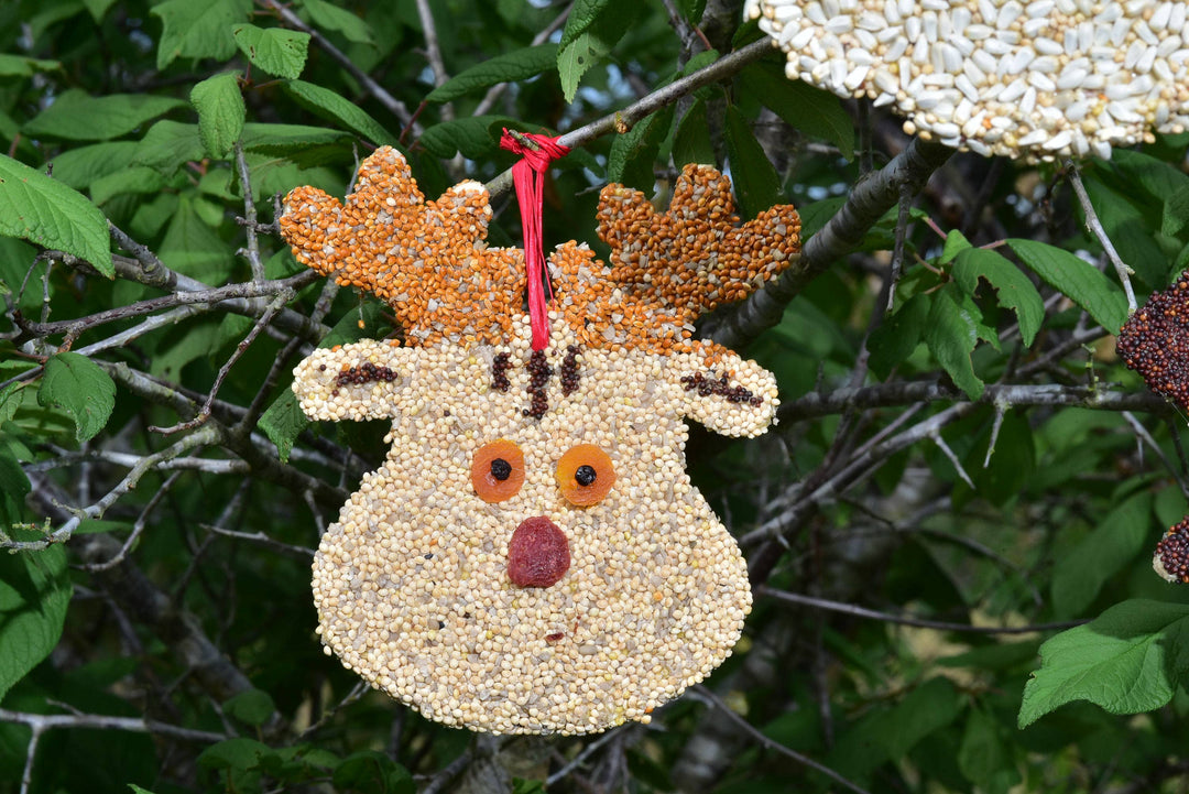 Christmas Cookie