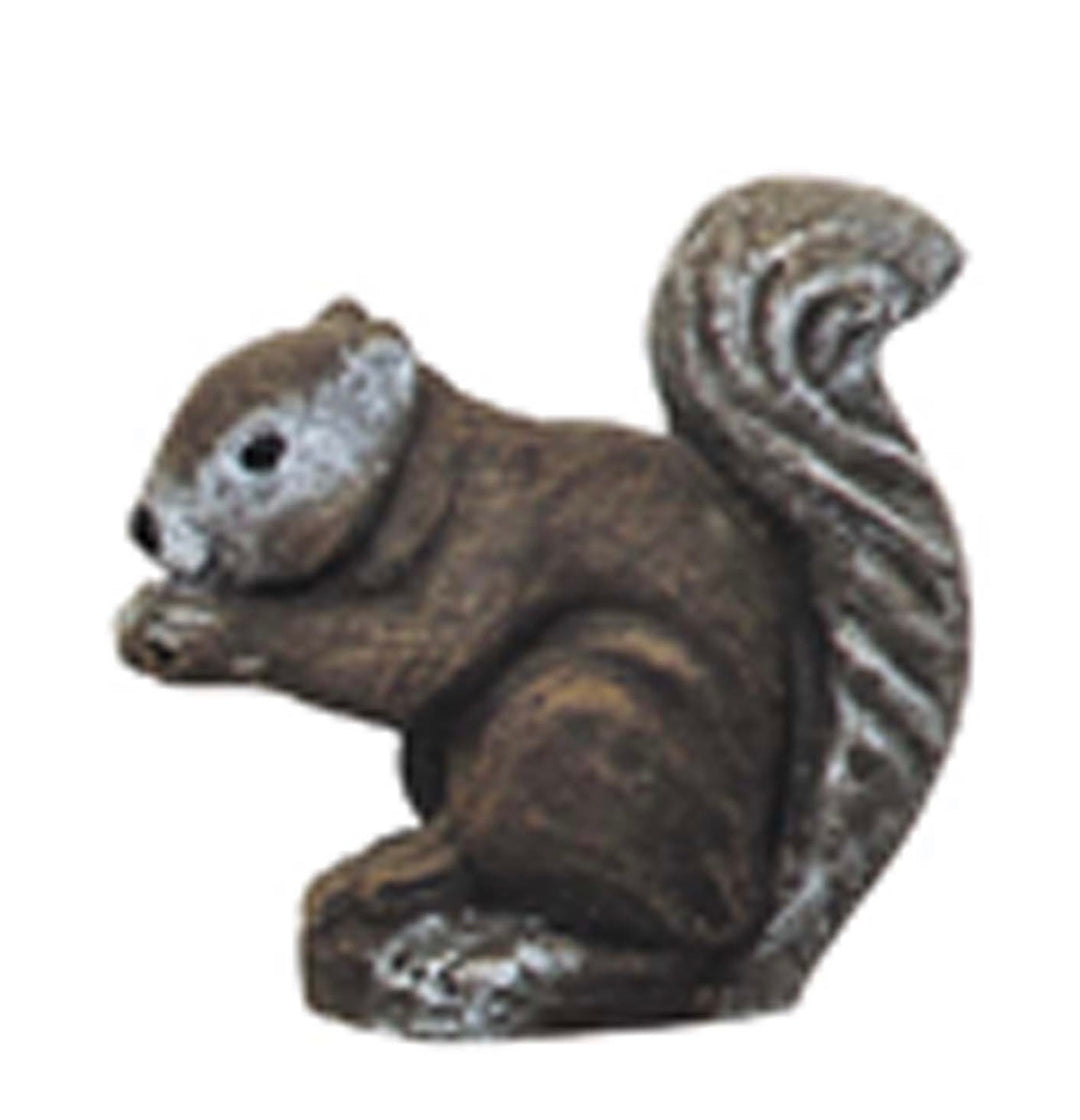 Large Squirrel