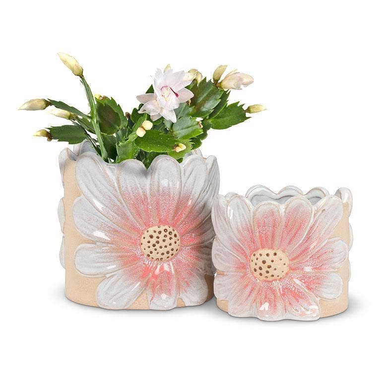 Lg Pink Daisy Planter-6"H