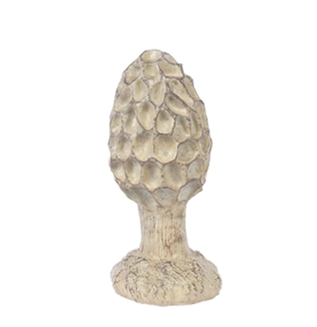 Small morel mushroom