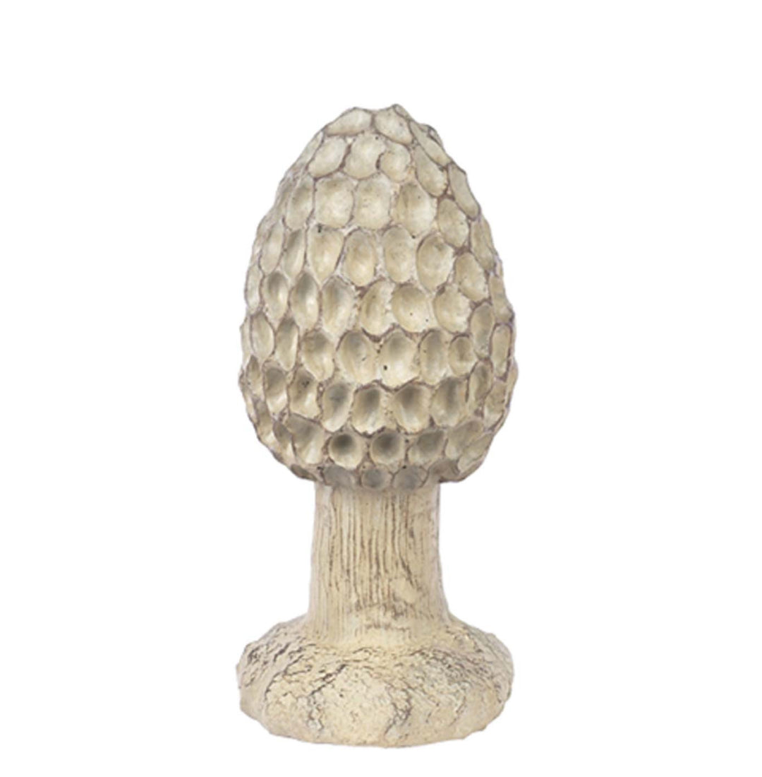 Large Morel Mushroom