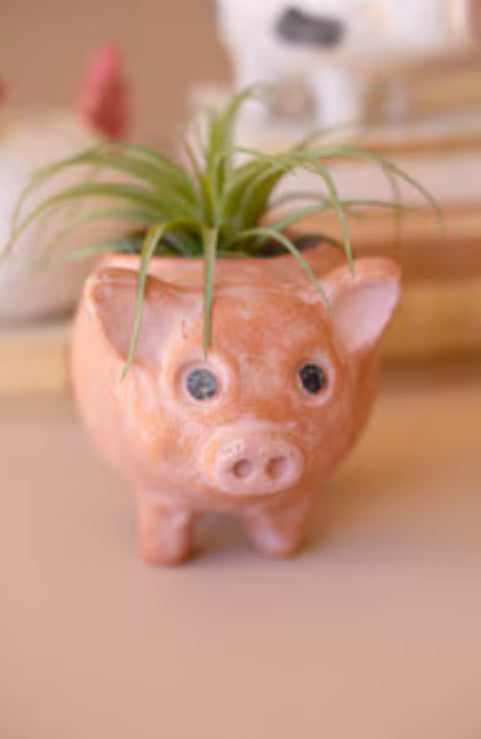 Pig Planter