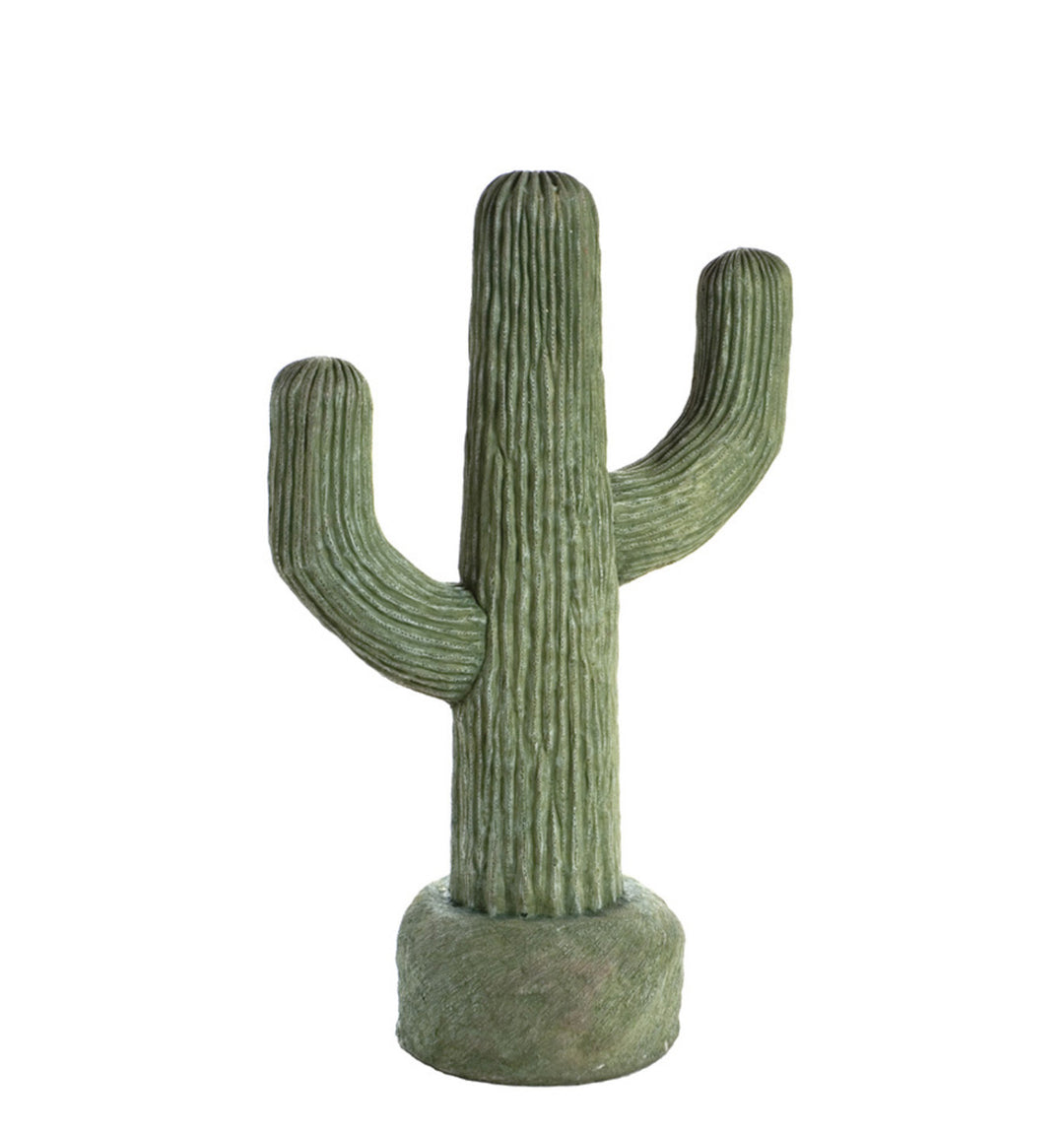Large cactus