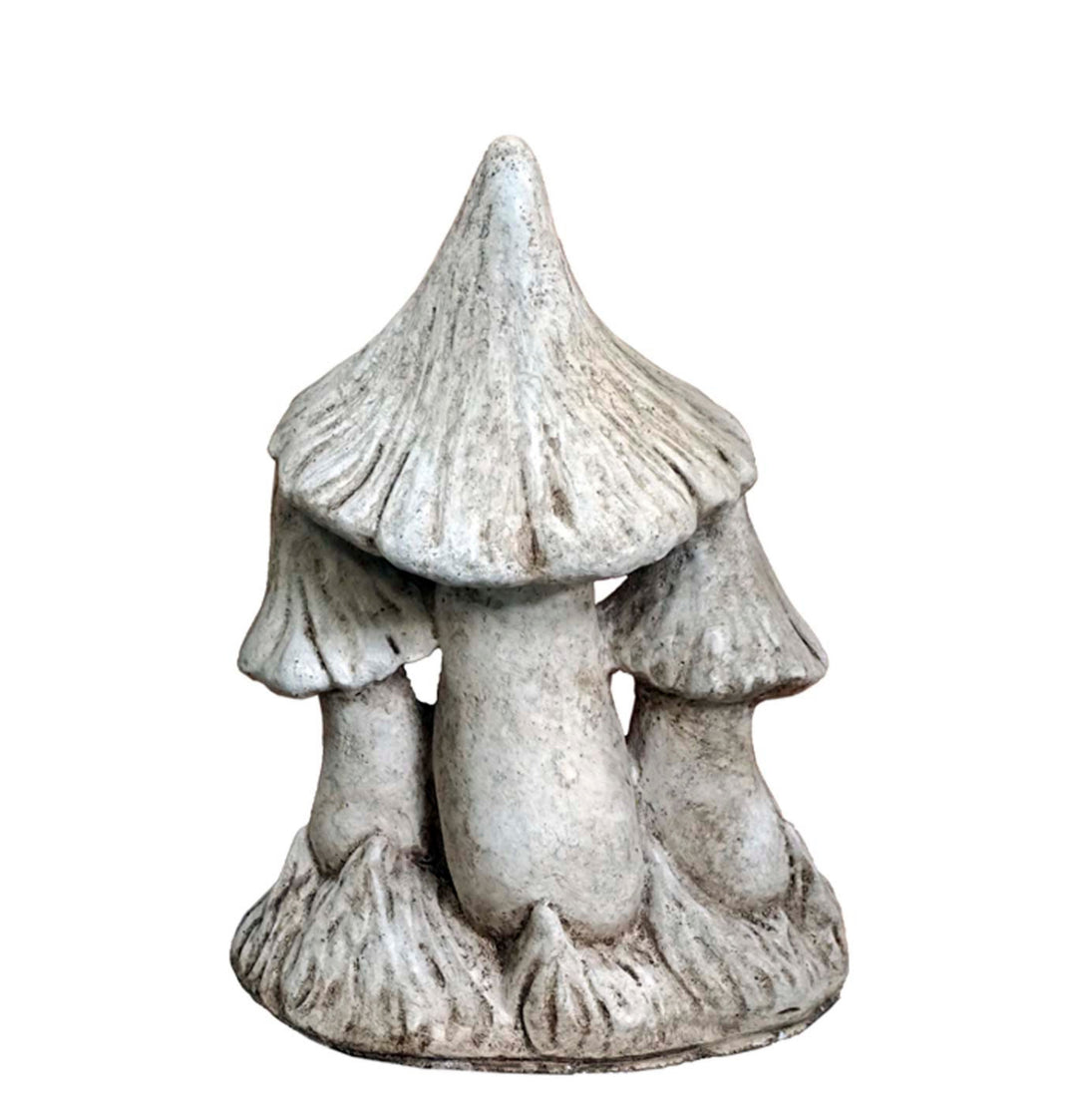 Small Pointed Mushrooms