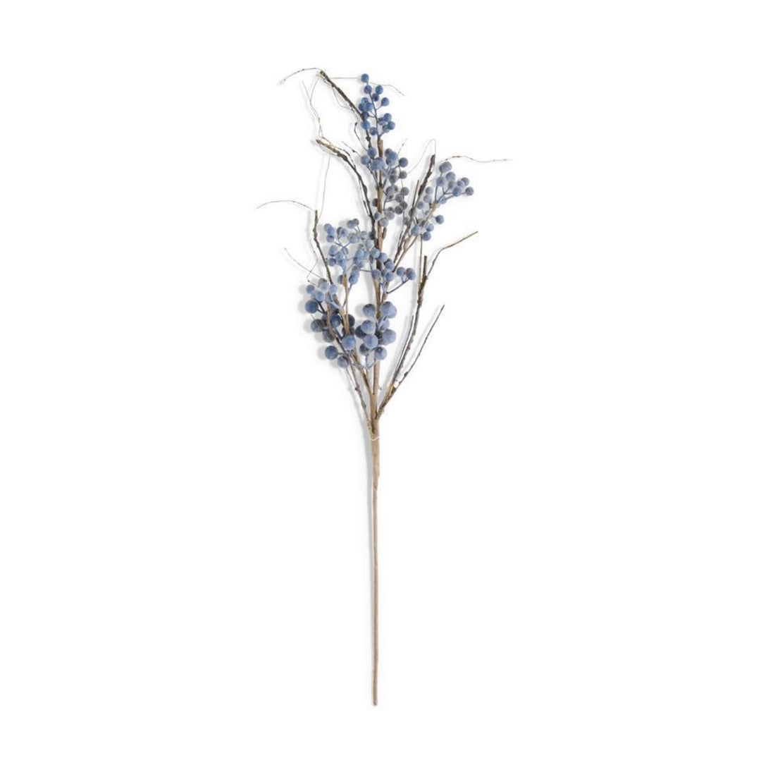 32 Inch Powdered Concord Grape Branch