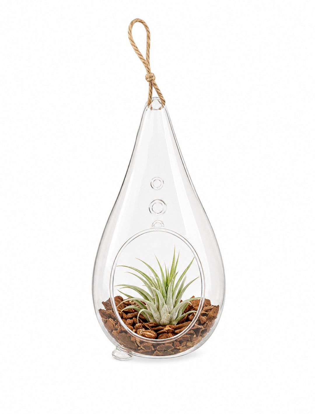 Teardrop Terrain 7” Pot  Air-Plant