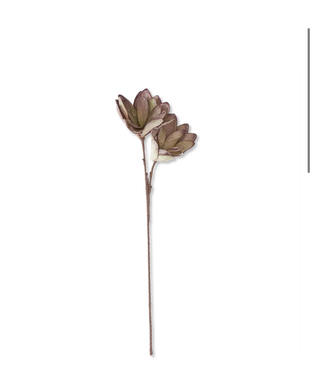 40 Inch Green & Pink Eva Double Bloom Stem