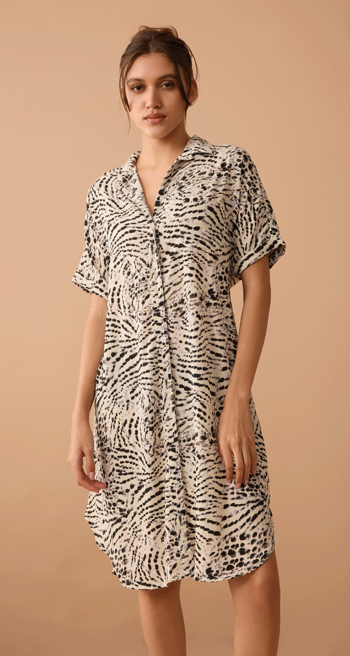 Lauren Shirt Dress