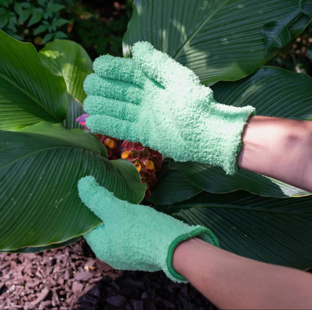 Duster Gloves