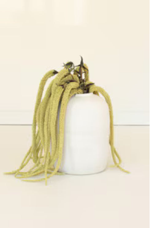 Botanical (1 stem)