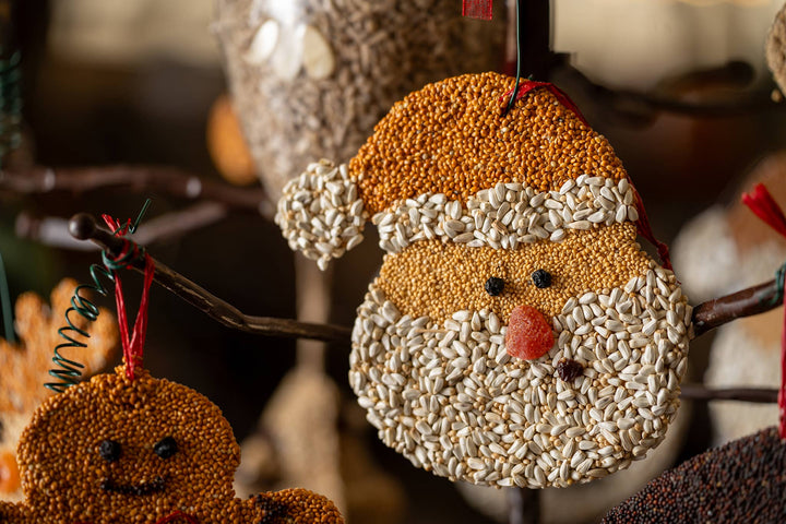 Christmas Cookie